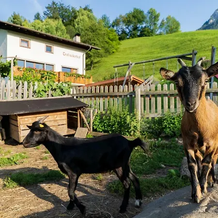 Country house Trafisolerhof Fie allo Sciliar